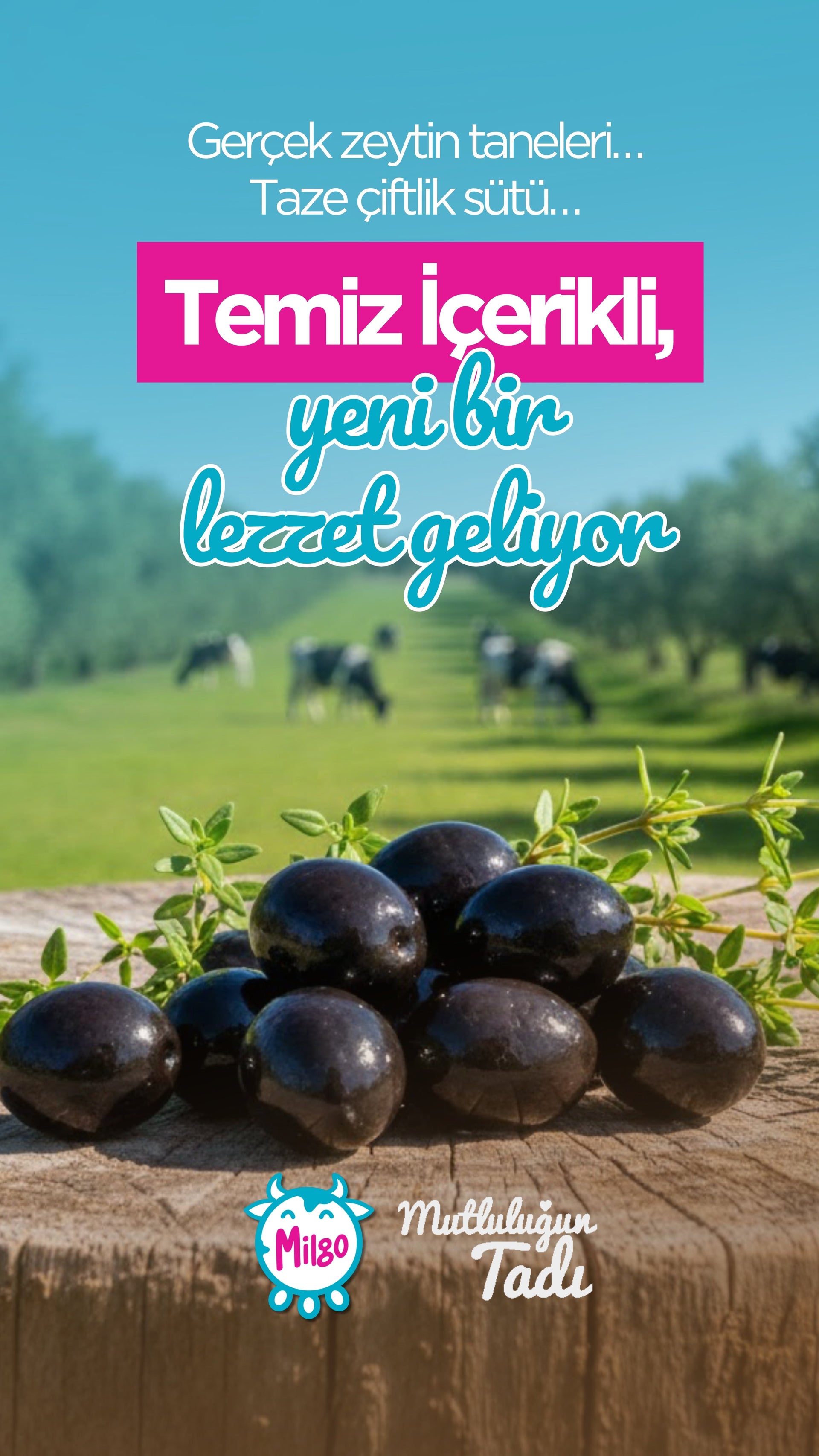 Milgo ile mutlu sabah