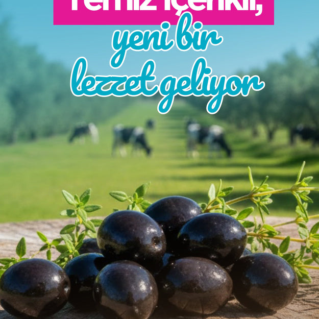 Milgo ile mutlu sabah